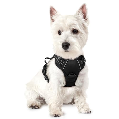 Best Dog Harness for Puppies