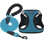 Best Dog Harness for Puppy