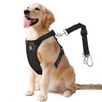 Best Dog Harness for Seat Belt