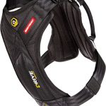 Best Dog Harness for the Car