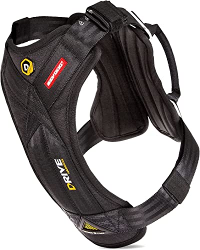 Best Dog Harness for the Car