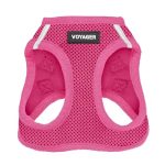 Best Dog Harness for Yorkies