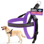 Best Dog Harness Made in Usa