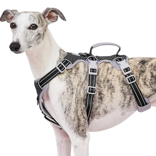 Best Dog Harness No Escape