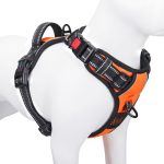 Best Dog Harness With Handle