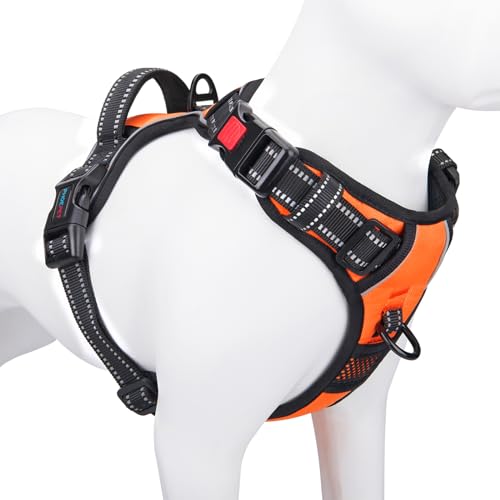 Best Dog Harness With Handle