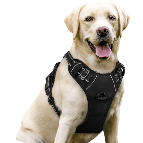 Best Dog Harnesses for Dogs That Pull