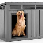 Best Dog House for Hot Weather