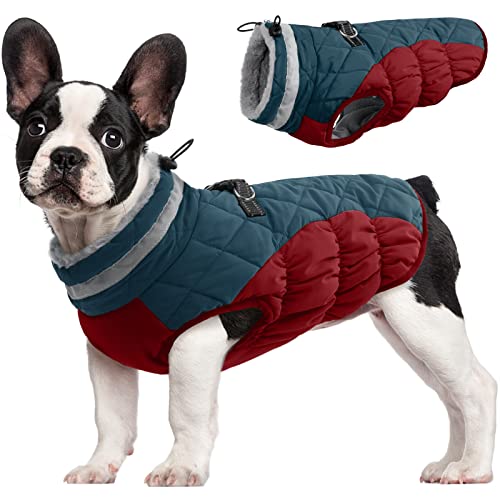 Best Dog Jacket With Built-In Harness