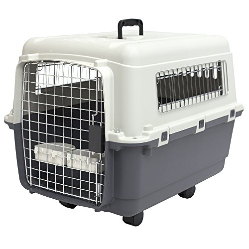 Best Dog Kennel for Flying