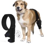 Best Dog Knee Brace for Torn Acl