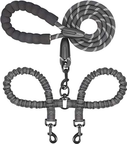 Best Dog Leash for Two Dogs