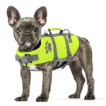 Best Dog Life Jacket for Kayaking