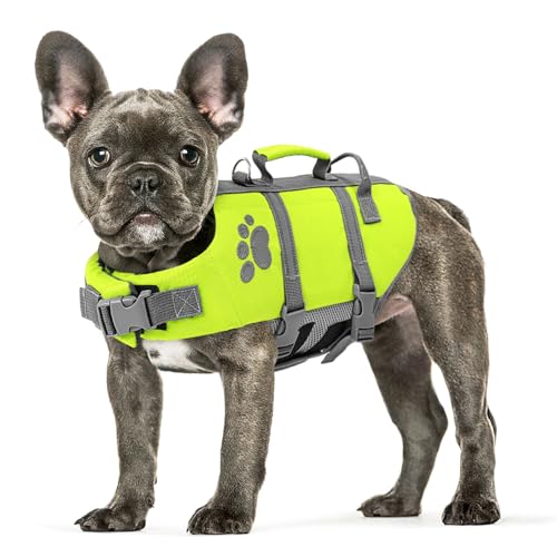 Best Dog Life Jacket for Kayaking