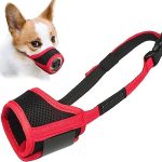 Best Dog Muzzle for Small Dogs