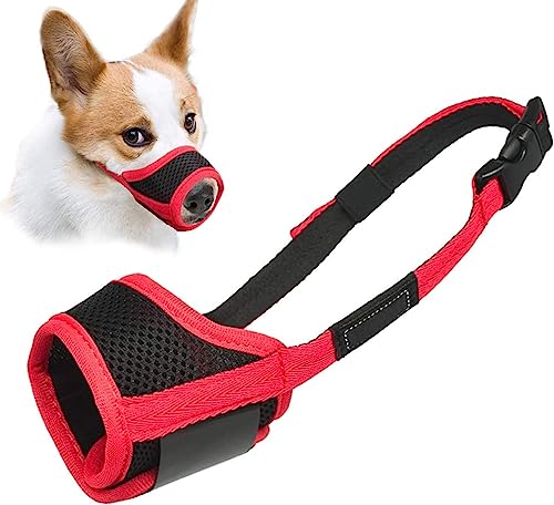 Best Dog Muzzle for Small Dogs