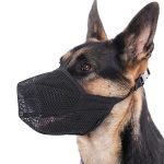 Best Dog Muzzle to Prevent Biting