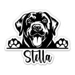 Best Dog Names for Black Labs