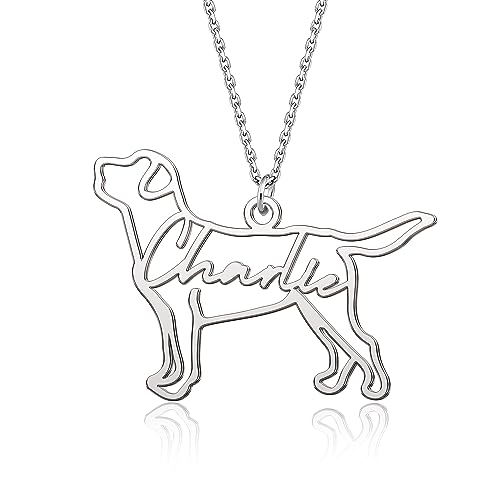 Best Dog Names for Labrador