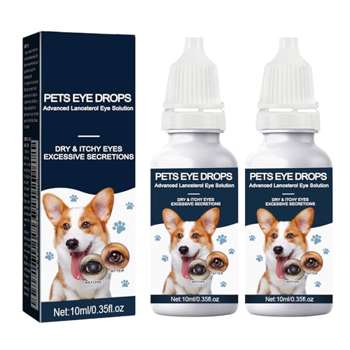 Best Dog Ophthalmologist near Me