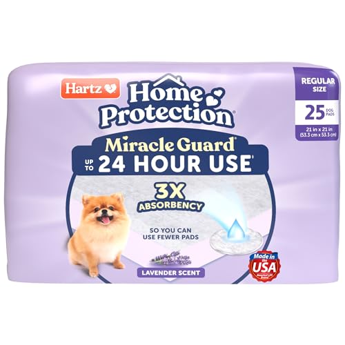 Best Dog Pads That Don'T Leak