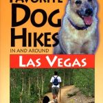 Best Dog Parks in Chicago