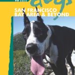 Best Dog Parks in the Bay Area
