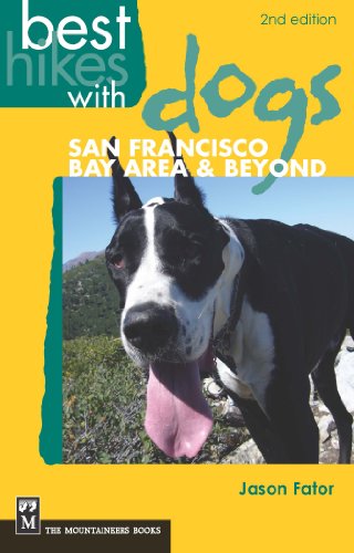 Best Dog Parks in the Bay Area