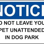 Best Dog Parks in the Us