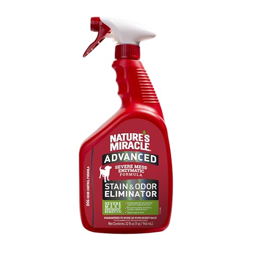 Best Dog Pee Odor Remover
