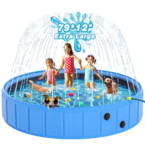 Best Dog Pool for Large Dogs