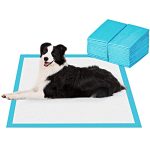 Best Dog Potty Training Pads