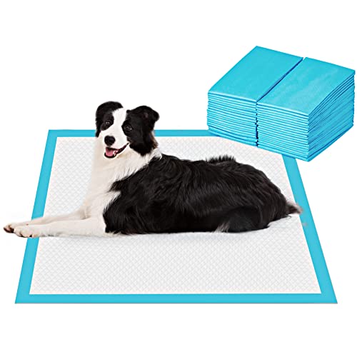 Best Dog Potty Training Pads