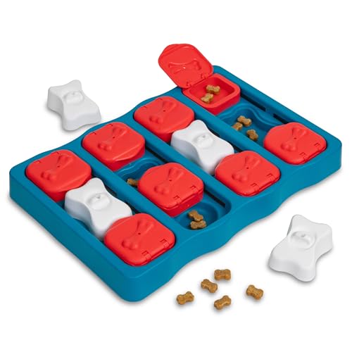 Best Dog Puzzles for Large Dogs