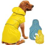 Best Dog Raincoat With Hood