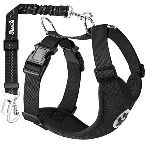Best Dog Safety Harness for Car