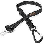 Best Dog Seat Belt Crash-Tested