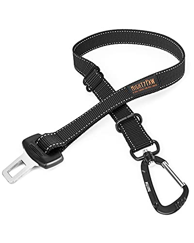 Best Dog Seat Belt Crash-Tested