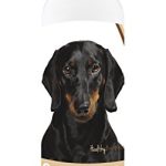 Best Dog Shampoo for Dachshunds
