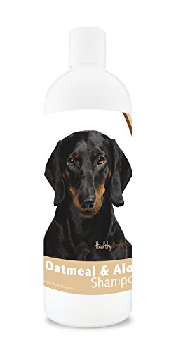 Best Dog Shampoo for Dachshunds