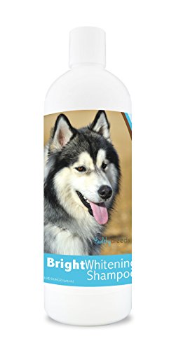 Best Dog Shampoo for Huskies