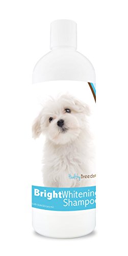 Best Dog Shampoo for Maltese