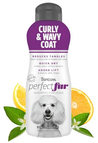 Best Dog Shampoo for Poodles