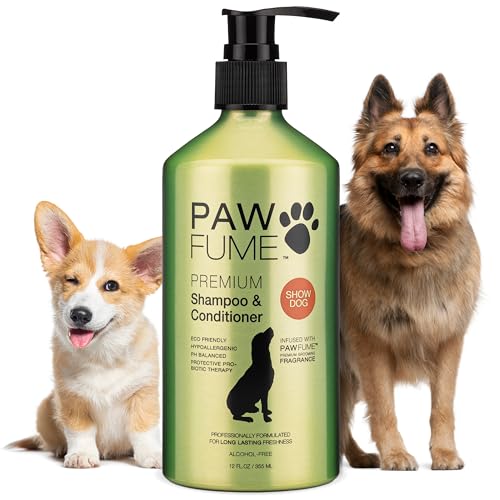 Best Dog Shampoo for Smelly Dogs