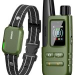 Best Dog Shock Collar With Remote