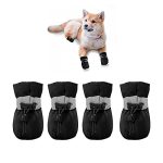 Best Dog Shoes for Chihuahuas
