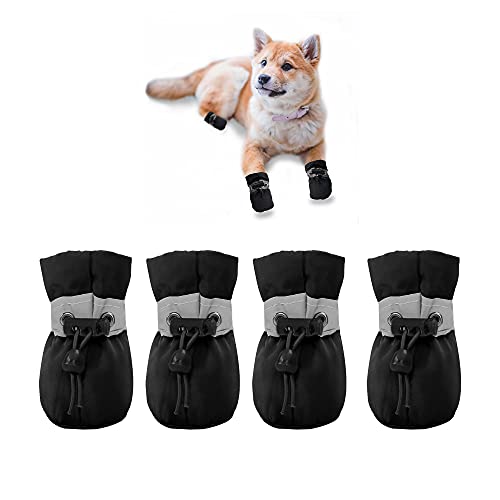 Best Dog Shoes for Chihuahuas