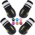 Best Dog Shoes for Hot Pavement