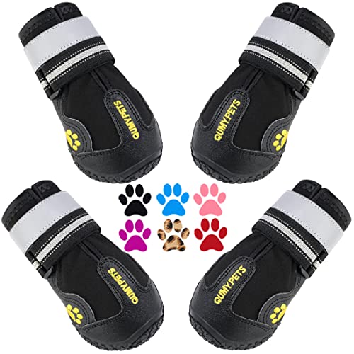 Best Dog Shoes for Winter