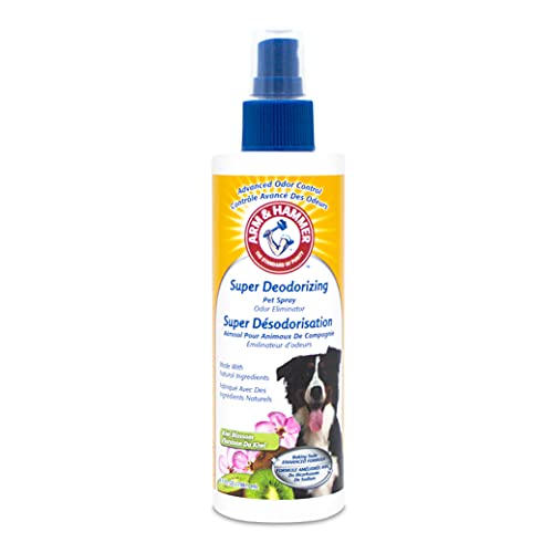 Best Dog Spray to Smell Good